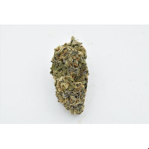 Blueberry Pie (Hybrid) - SALE 1 OZ $95